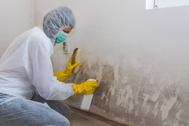 Best Real Estate Mold Inspection  in Stanfield, NC